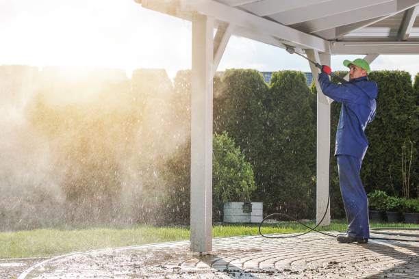 Best Brick and Stone Cleaning in Hallsville, TX
